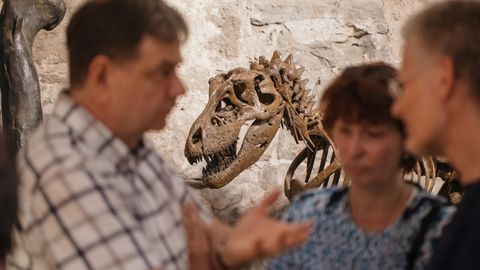 Nanotyrannus auf einer Saurier-Ausstellung in Thrüringen