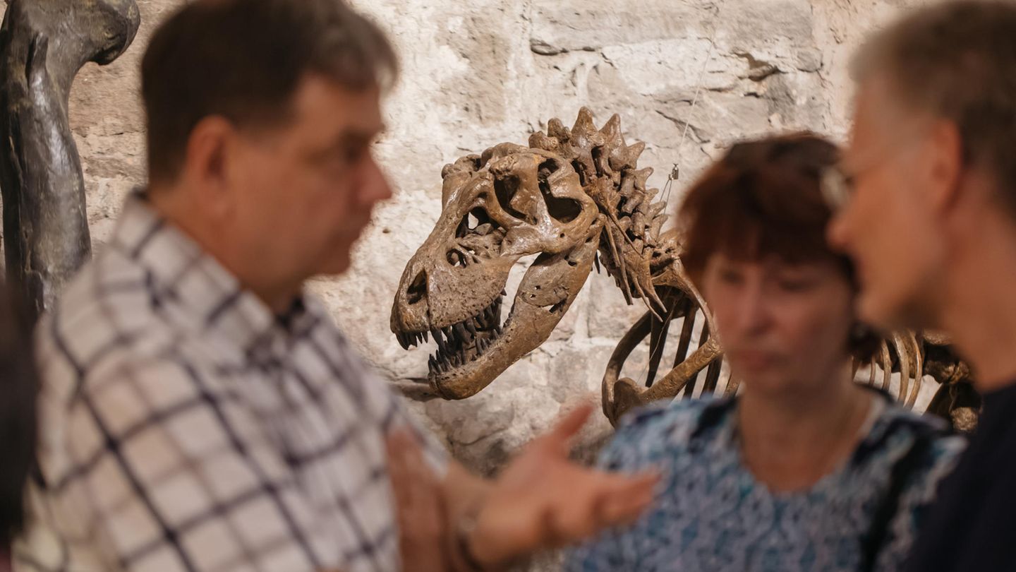Nanotyrannus auf einer Saurier-Ausstellung in Thrüringen