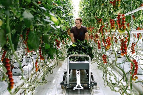 Der neue Garten Eden