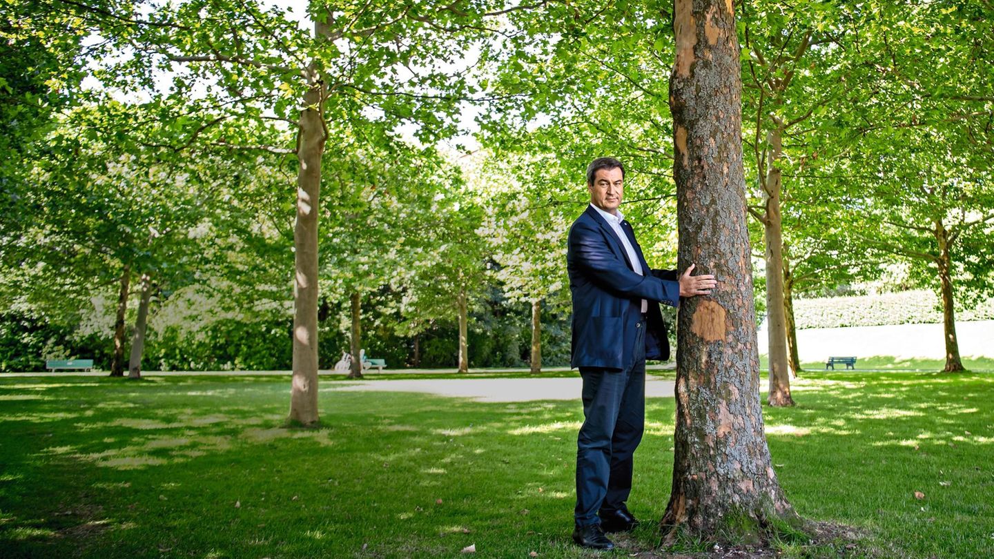 Markus Söder umarmt einen Baum