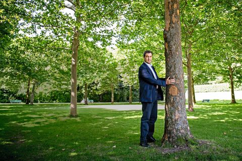 Markus Söder umarmt einen Baum
