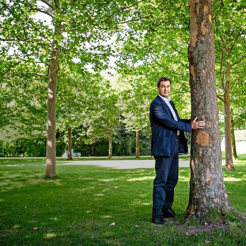 Markus Söder umarmt einen Baum