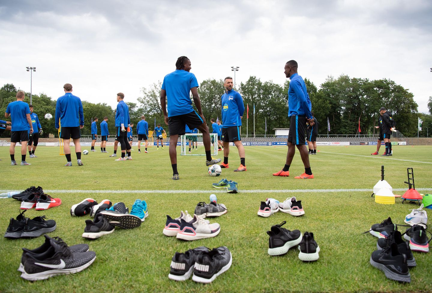 Hertha BSC Berlin Hertha BSC Berlin: Orlando