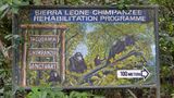 Tacugama Chimpanzee Sanctuary