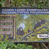 Tacugama Chimpanzee Sanctuary