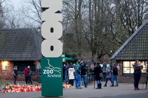 Blumen und Trauerkerzen vor dem Engang des Krefelder Zoos