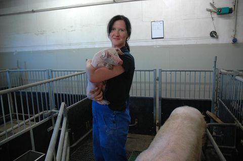 Schweineverhaltensforscherin Sandra Düpjan mit Ferkel auf dem Arm