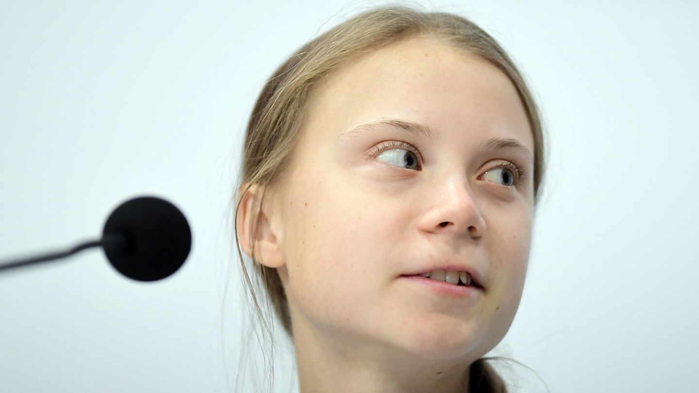 Greta Thunberg ändert TwitterProfilnamen und damit für Lacher
