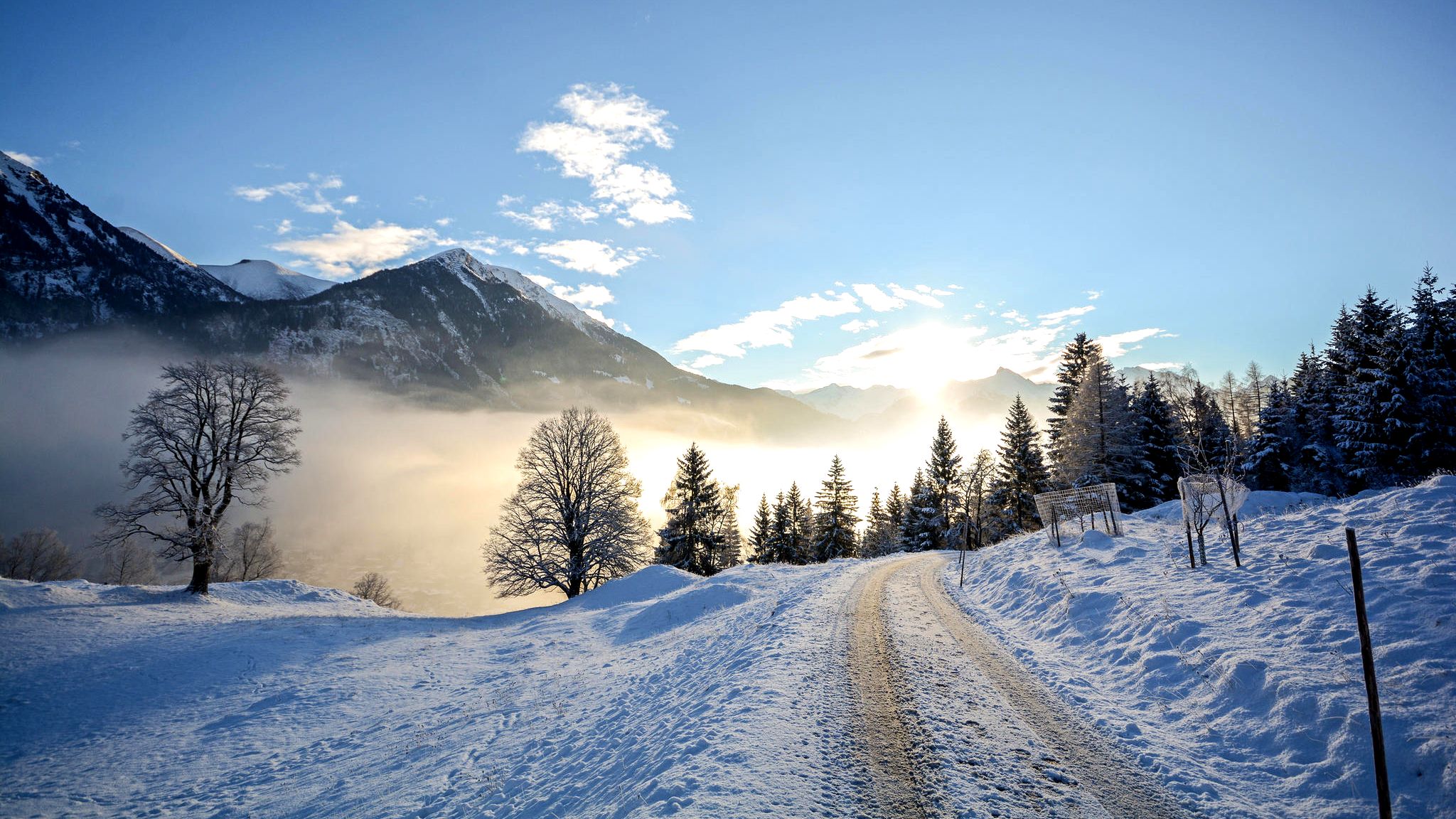 Wetter: Wann kommt der Winter nach Deutschland? Experte gibt