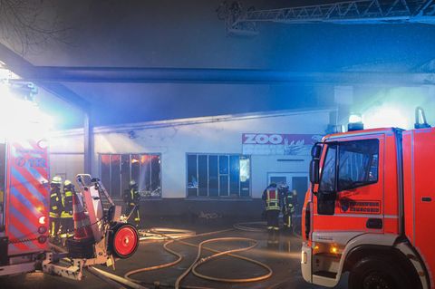 Feuerwehrleute löschen den Brand einer Zoohandlung