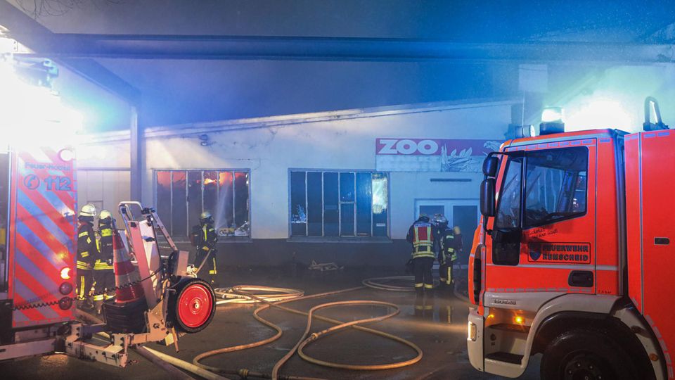 Feuerwehrleute löschen den Brand einer Zoohandlung