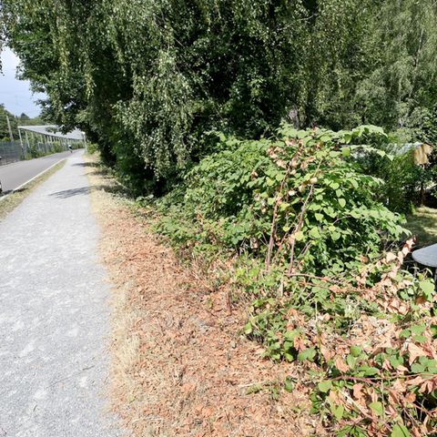 Tatort der Vergewaltigung in Mülheim