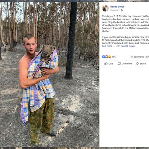 Australien: Patrick Boyle rettet Koalas vor den Buschbränden