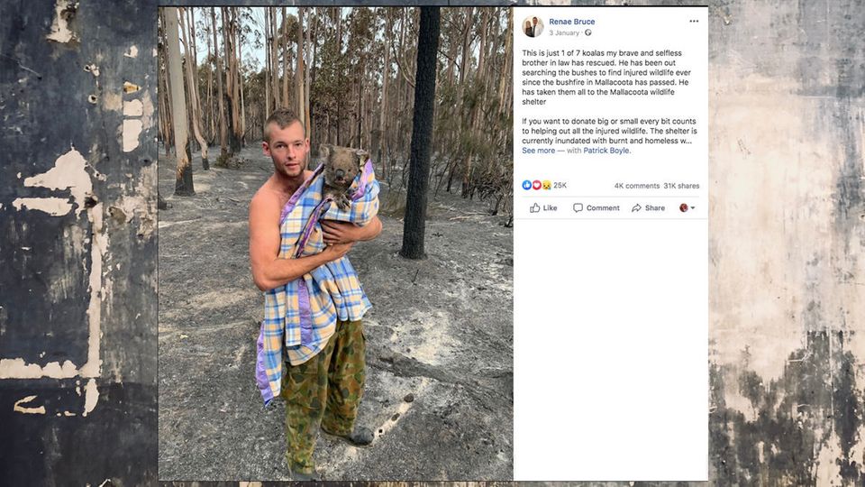 Australien: Patrick Boyle rettet Koalas vor den Buschbränden