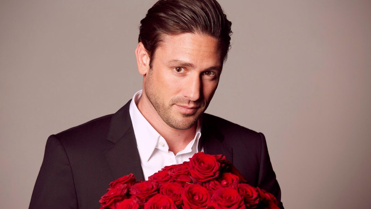 Der Bachelor Der Bachelor