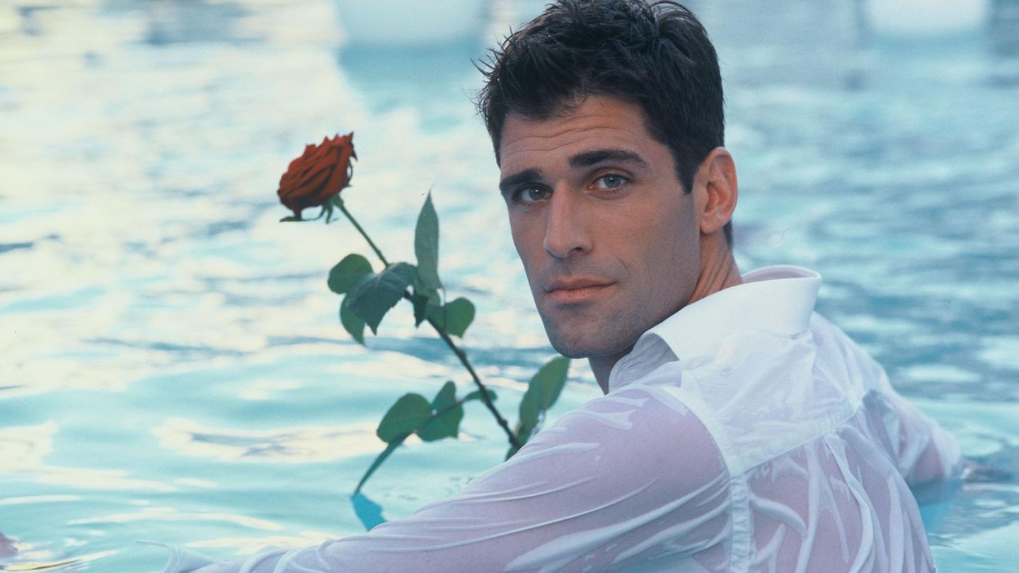 Der Bachelor