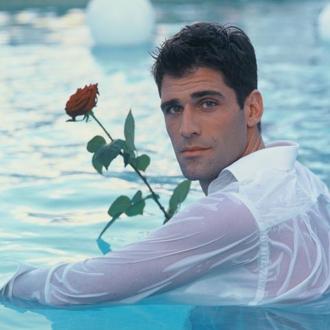 Der Bachelor