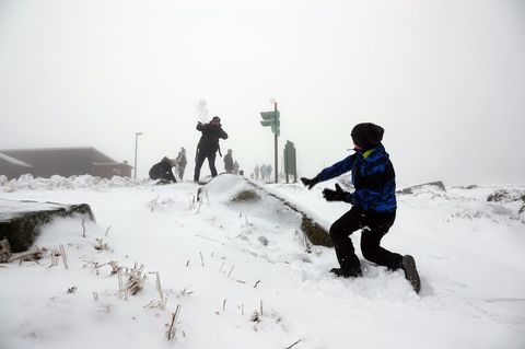 Kinde bewerfen sich mit Schnee