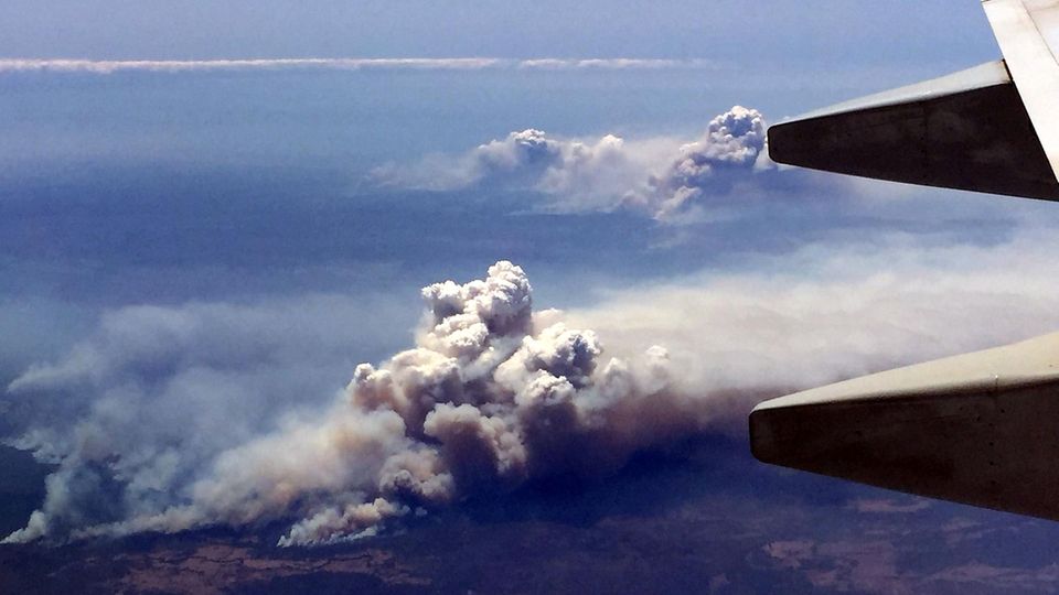 Luftaufnahme der Brände im Bundesstaat New South Wales