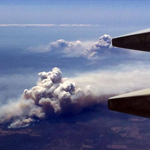 Luftaufnahme der Brände im Bundesstaat New South Wales
