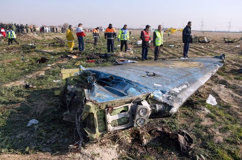 Das Seitenruder der im Iran abgestürzten Boeing 737-800 von Ukraine International Airlines