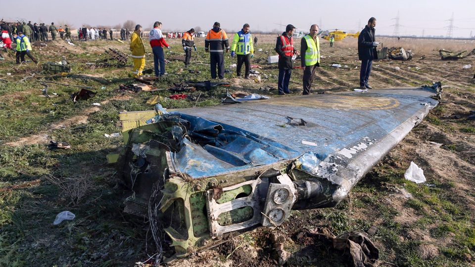 Das Seitenruder der im Iran abgestürzten Boeing 737-800 von Ukraine International Airlines