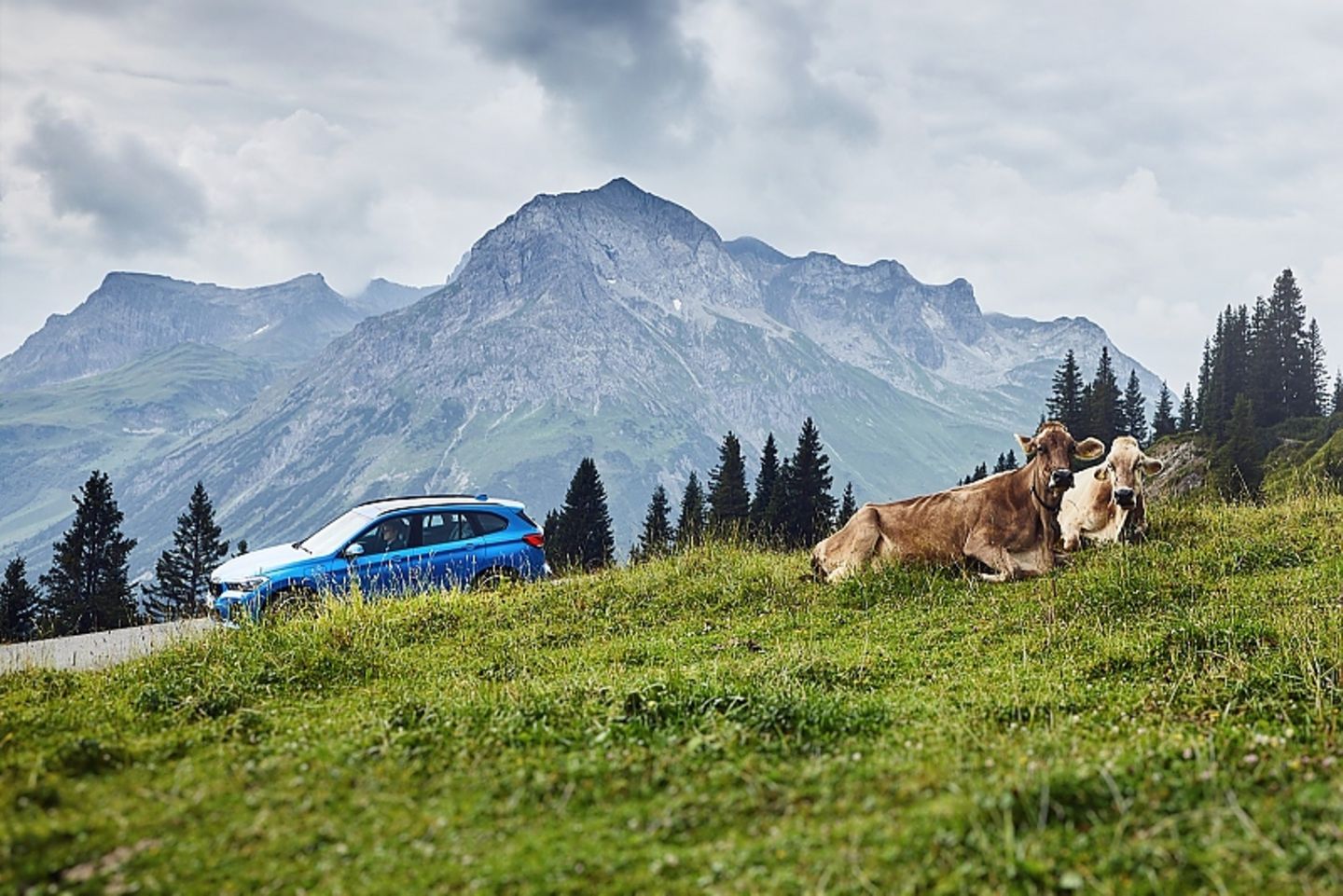 BMW X1 xDrive 25e PHEV