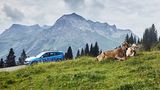 BMW X1 xDrive 25e PHEV