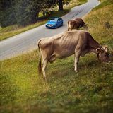 BMW X1 xDrive 25e PHEV