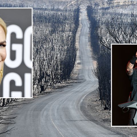 Tragische Buschbrände: "Es bricht uns das Herz" – Kidman, Metallica und Co. spenden Millionensummen für Australien