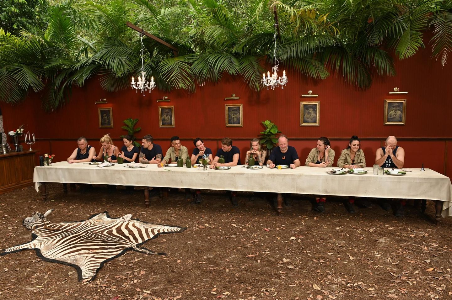 Dschungelcamp Dschungelcamp