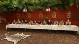 Dschungelcamp