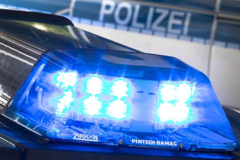 Bei einer Auseinandersetzung von drei Hunden in Mülheim soll einer der Halter ein Tier mit einem Messer tödlich verletzt haben