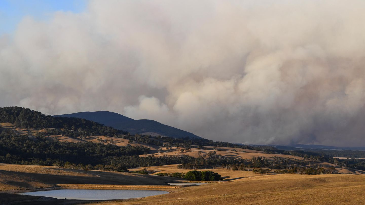 Dichter Rauch steigt von einem Buschfeuer in Australien auf