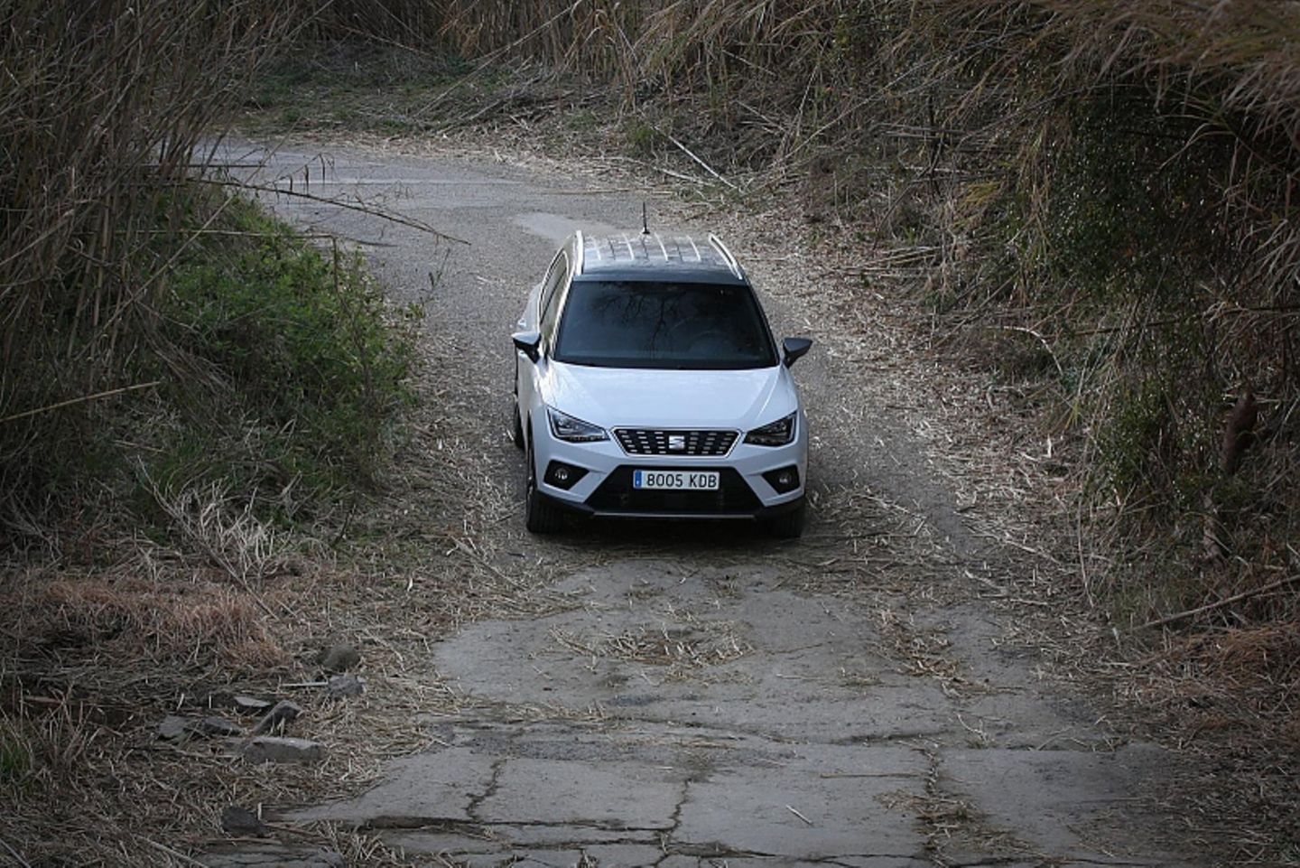 Seat Arona TDI