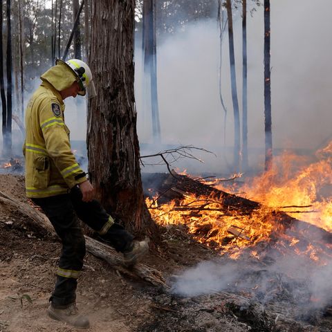 Buschbrand Australien
