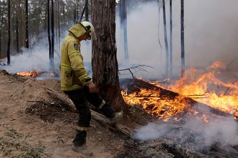 Buschbrand Australien