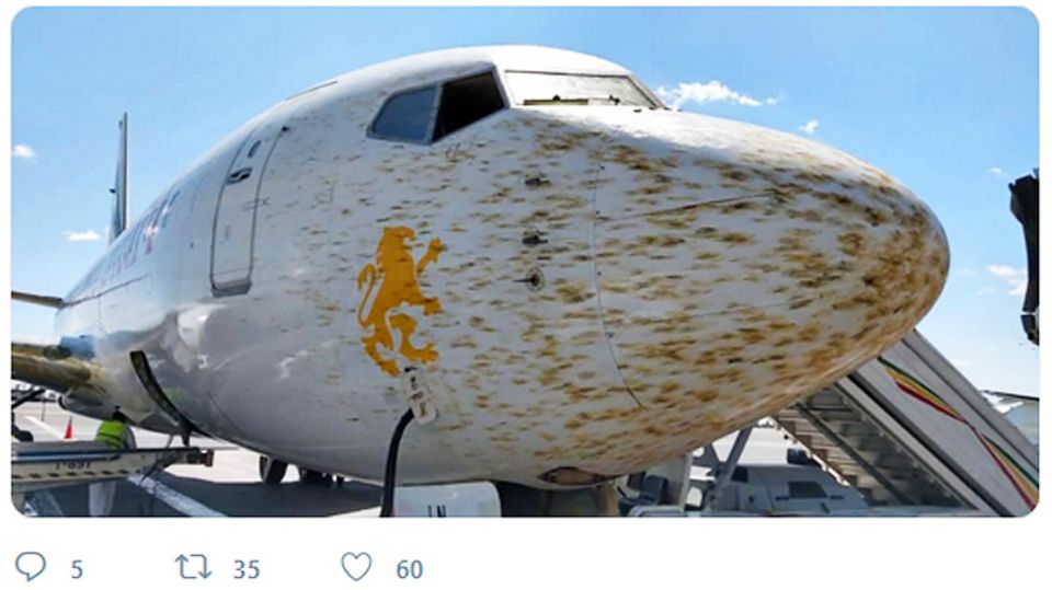Boeing Flugzeug
