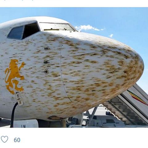 Boeing Flugzeug