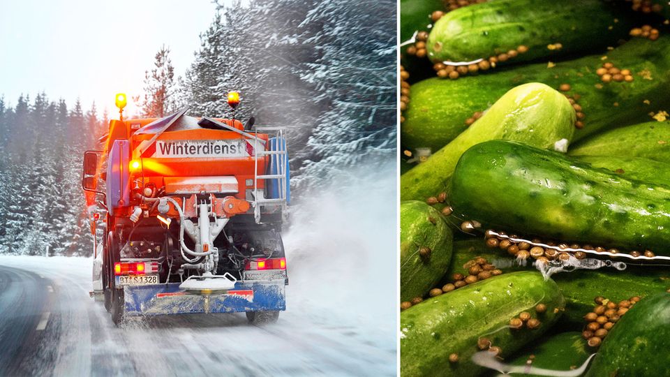Bayern Winterdienst Nachhaltigkeit Gurkenwasser Streusalz Kurios: Bayern testet Gurkenwasser als Ersatz für Streusalz