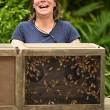 Dschungelcamp: Danni Büchner