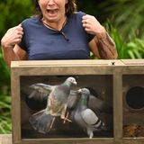 Dschungelcamp: Daniela Büchner