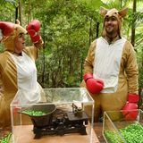 Dschungelcamp: Claudia Norberg und Marco Cerullo