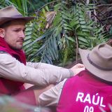 Dschungelcamp: Marco Cerullo