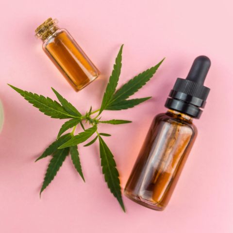 CBD: Eine Hanfpflanze und ein Fläschchen mit Öl liegen auf einem Tiscj