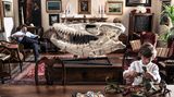 Mosasaurus
