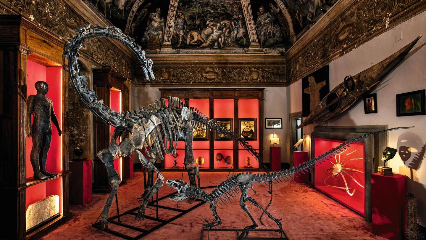 Diplodocus + Allosaurus Diplodocus + Allosaurus