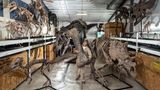 Dinos aus der Gussform