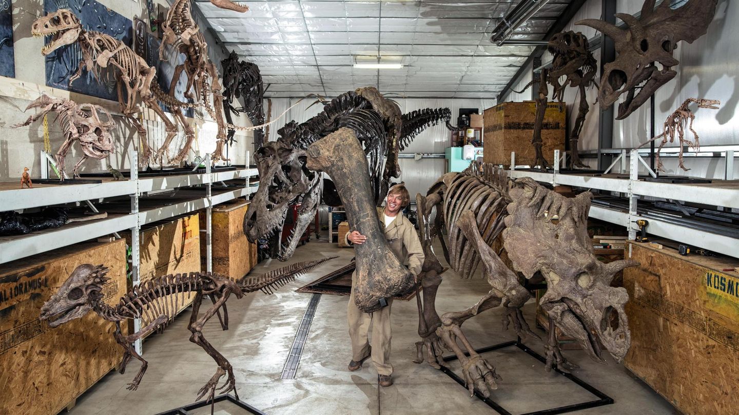 Dinos aus der Gussform Dinos aus der Gussform