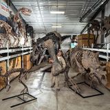 Dinos aus der Gussform